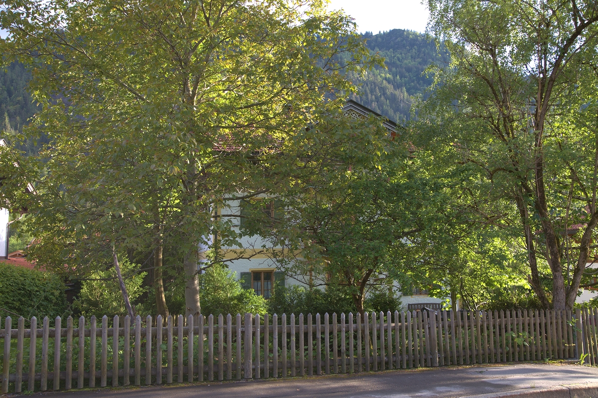 Der Garten III