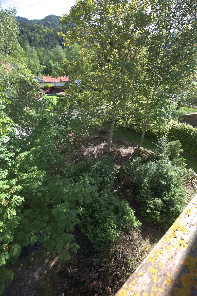 Der Garten VI